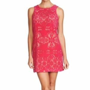 Nordstrom NWT~Cynthia Steffe~0~Sleeveless Dress